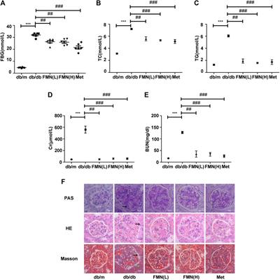 Formononetin Activates the Nrf2/ARE Signaling Pathway Via Sirt1 to Improve Diabetic Renal Fibrosis